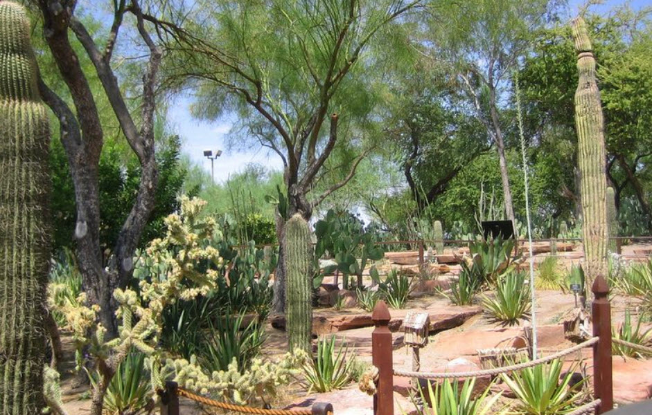 Ethel M Botanical Cactus Garden, United States